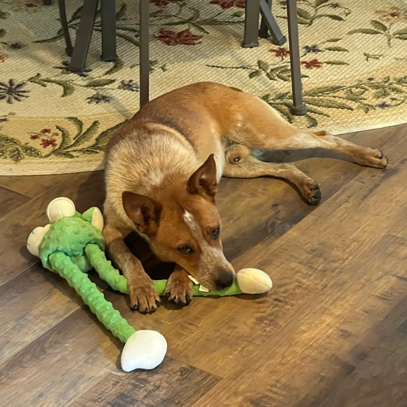 Meet the Posher - Picture 3 of 16